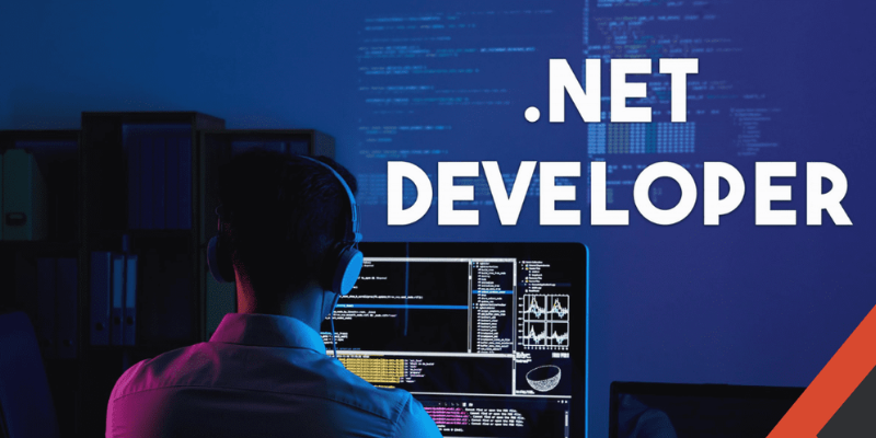 What are the .NET Developer Skills?